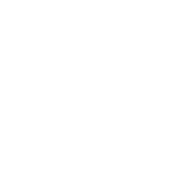 Fsociety